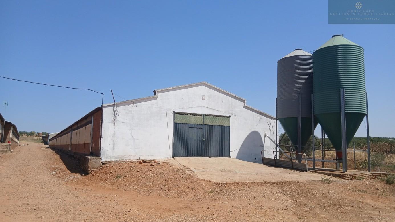 Venta de finca rústica en Cristina
