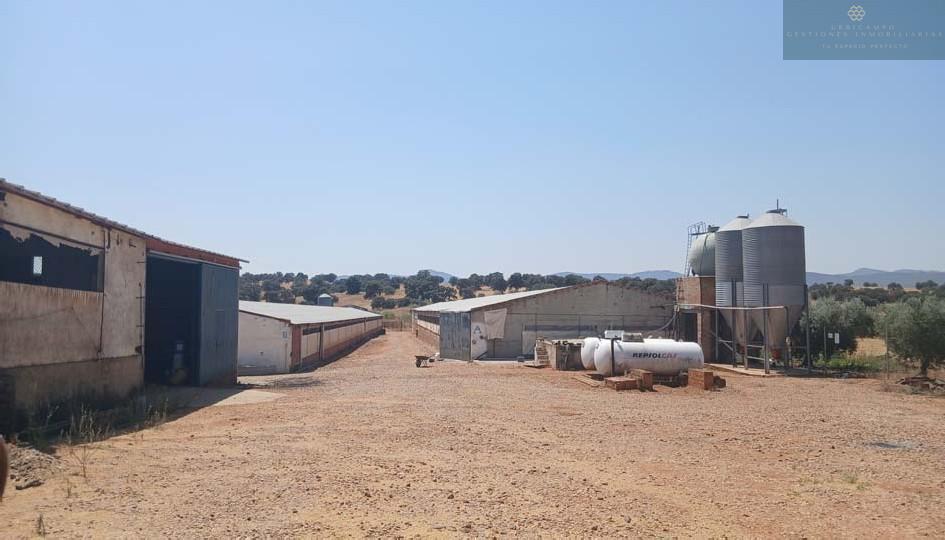 Venta de finca rústica en Cristina