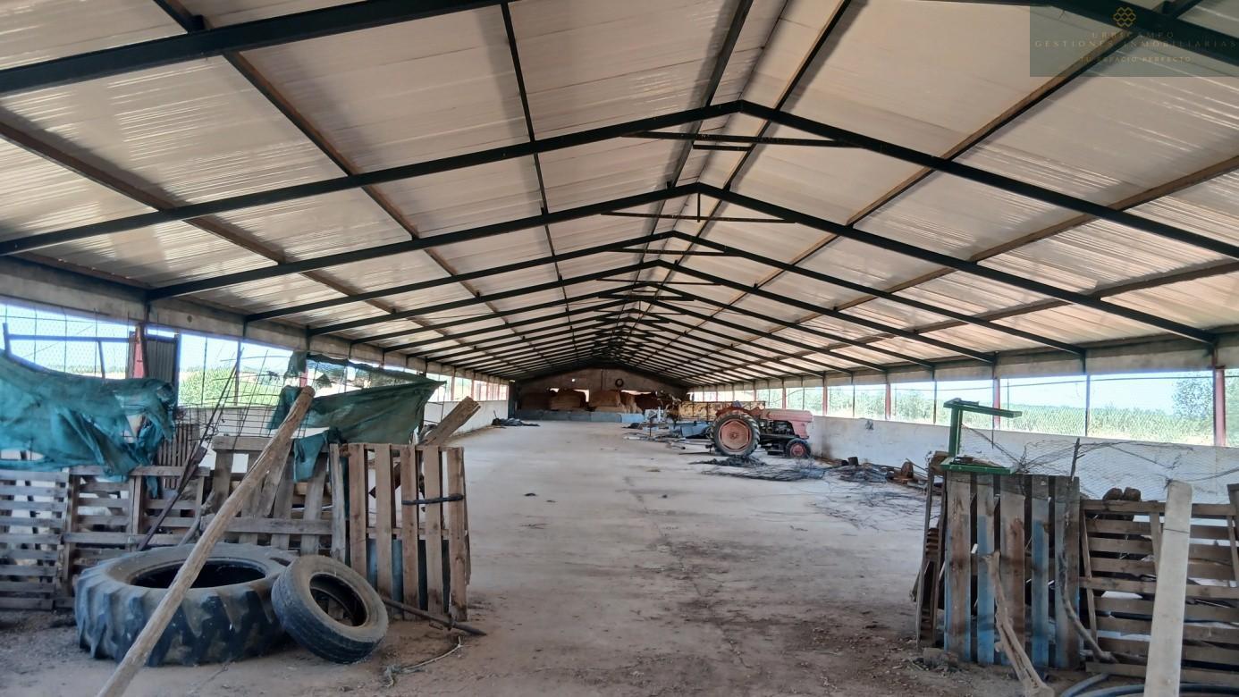 Venta de finca rústica en Cristina
