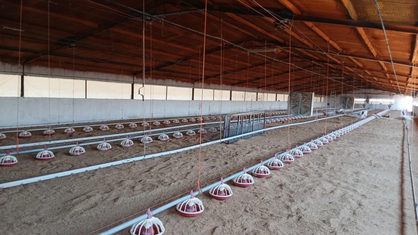 Venta de finca rústica en Cristina
