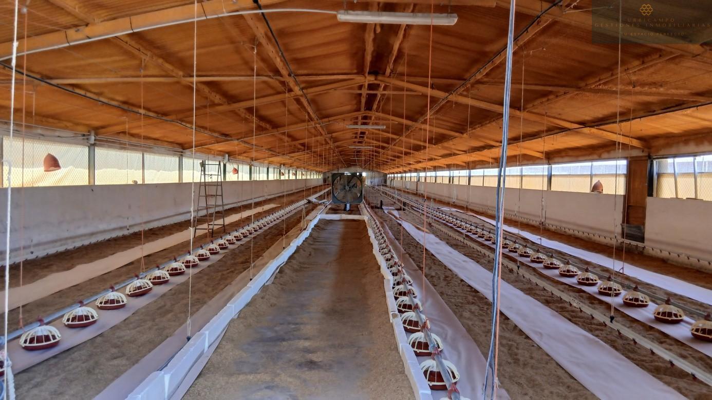 Venta de finca rústica en Cristina
