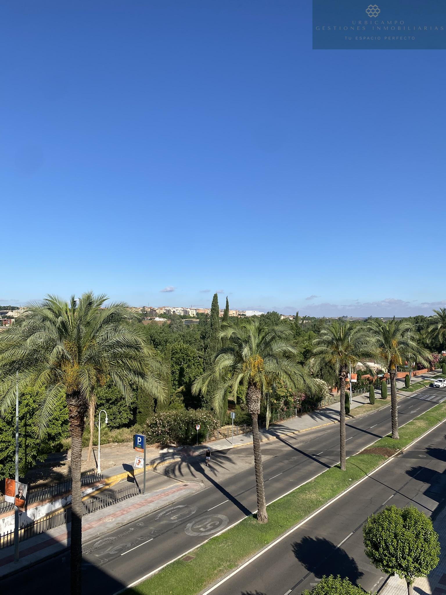 Vistas