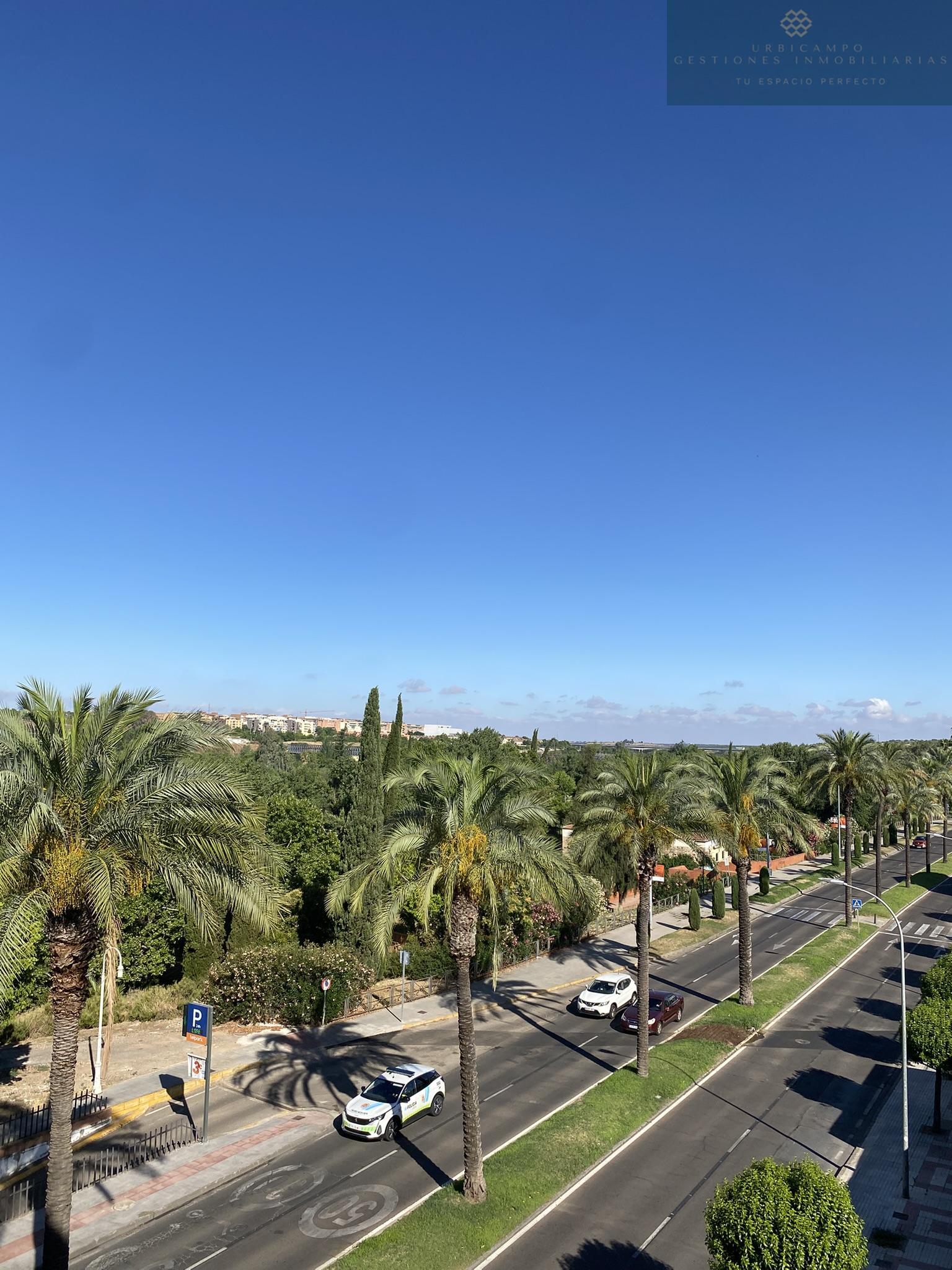 Vistas