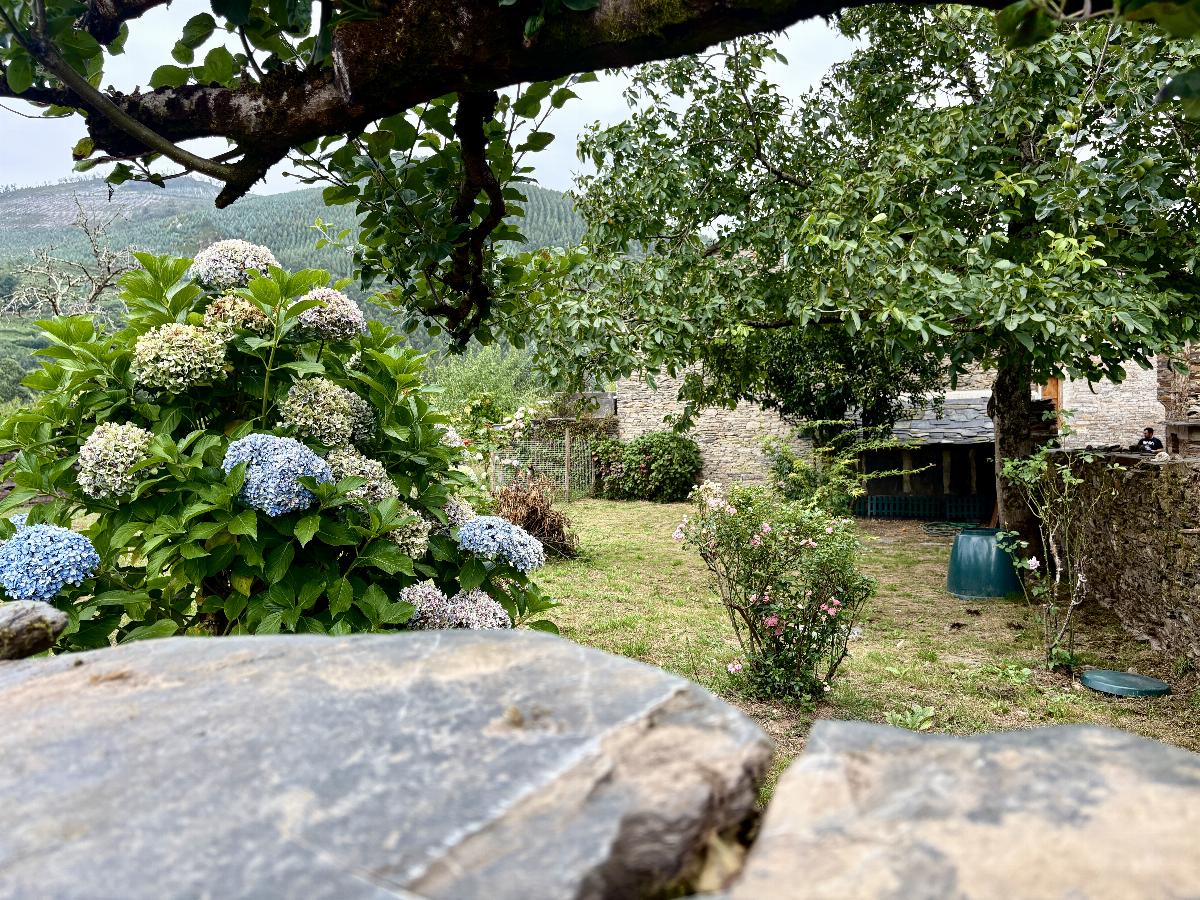 Jardín