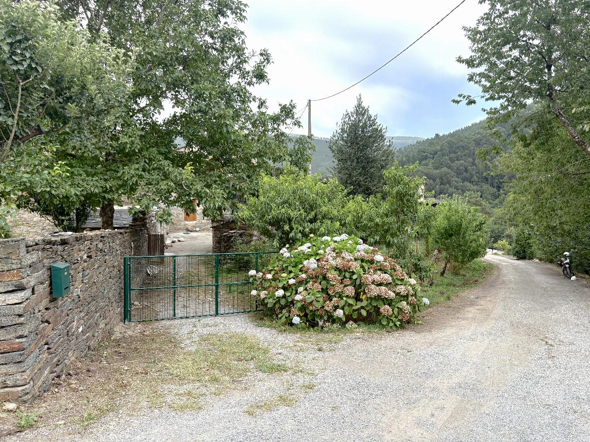Entrada/Salida