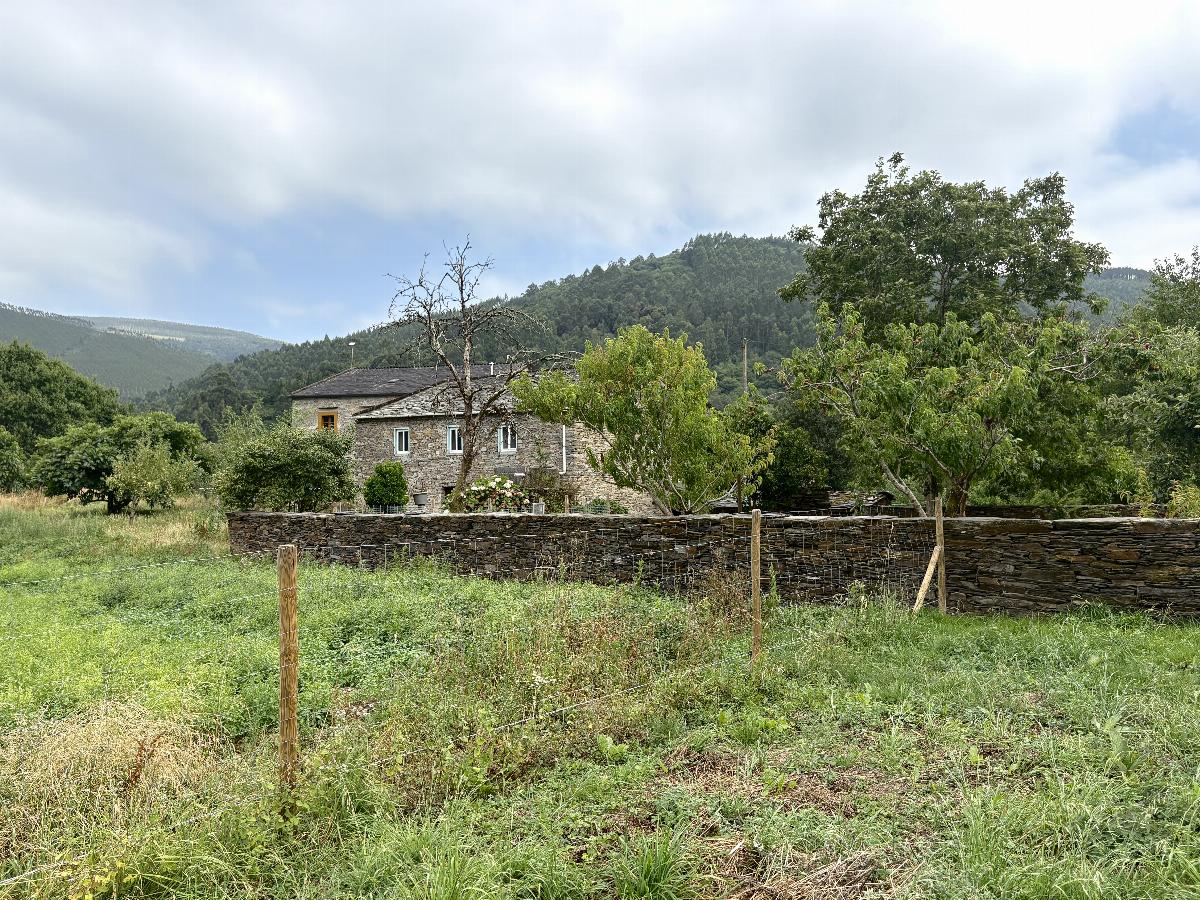 Jardín