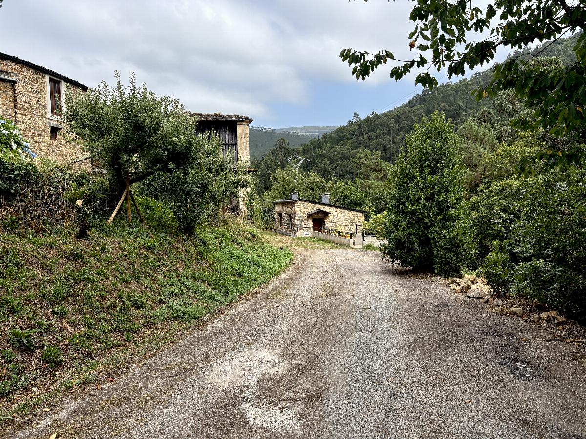Jardín