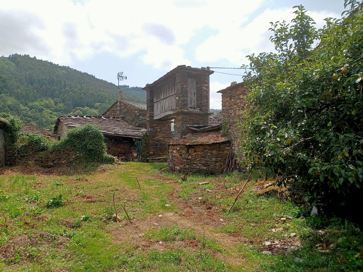 Jardín