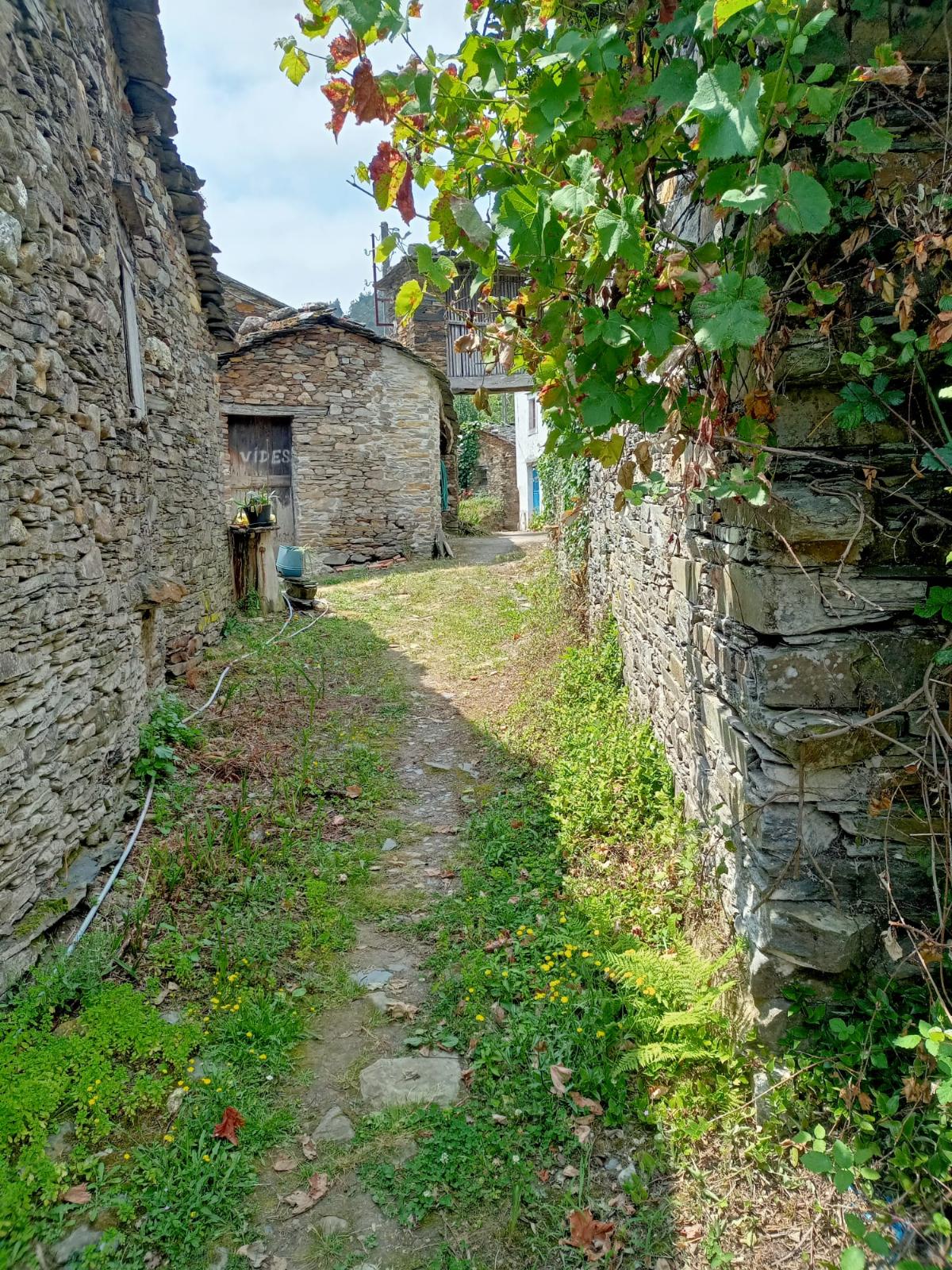 Jardín