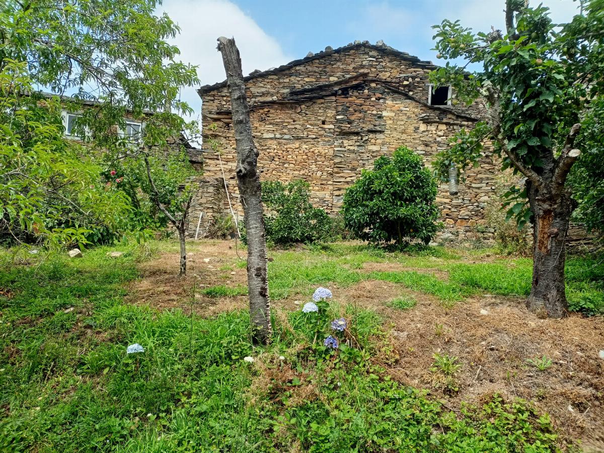 Jardín