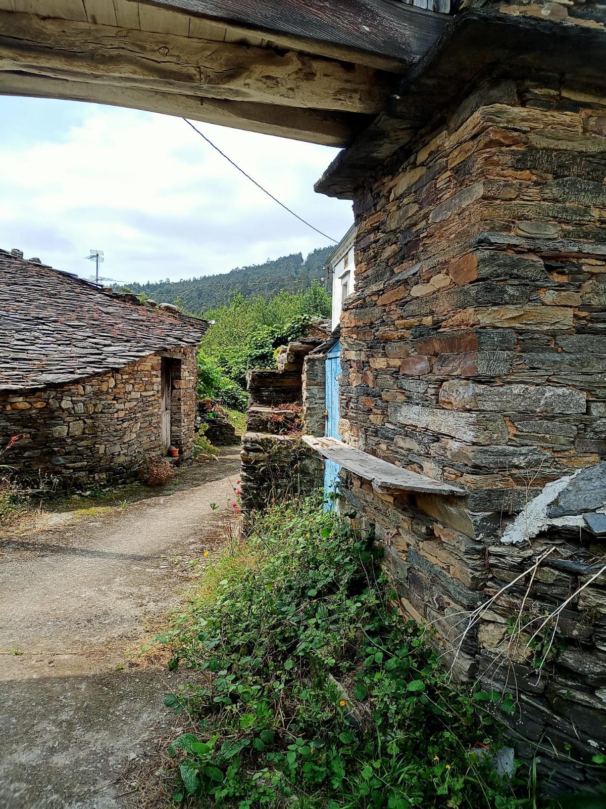 Cuerpo de casa