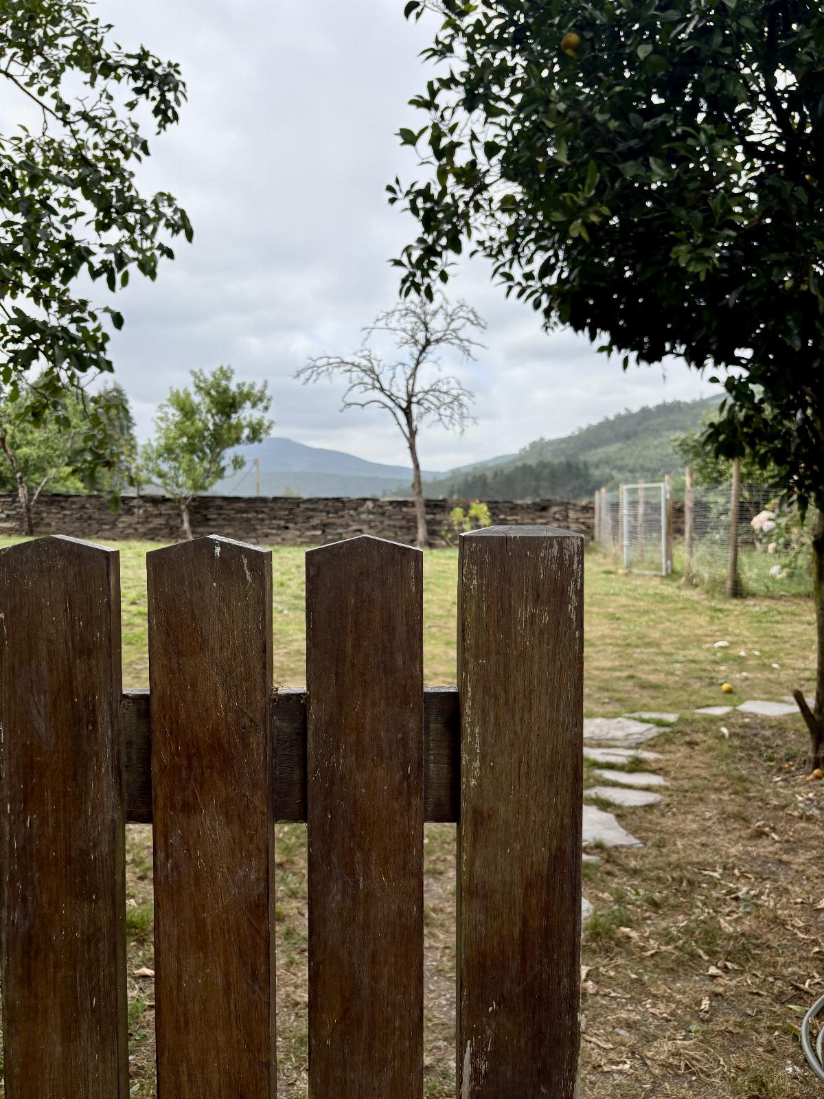 Jardín
