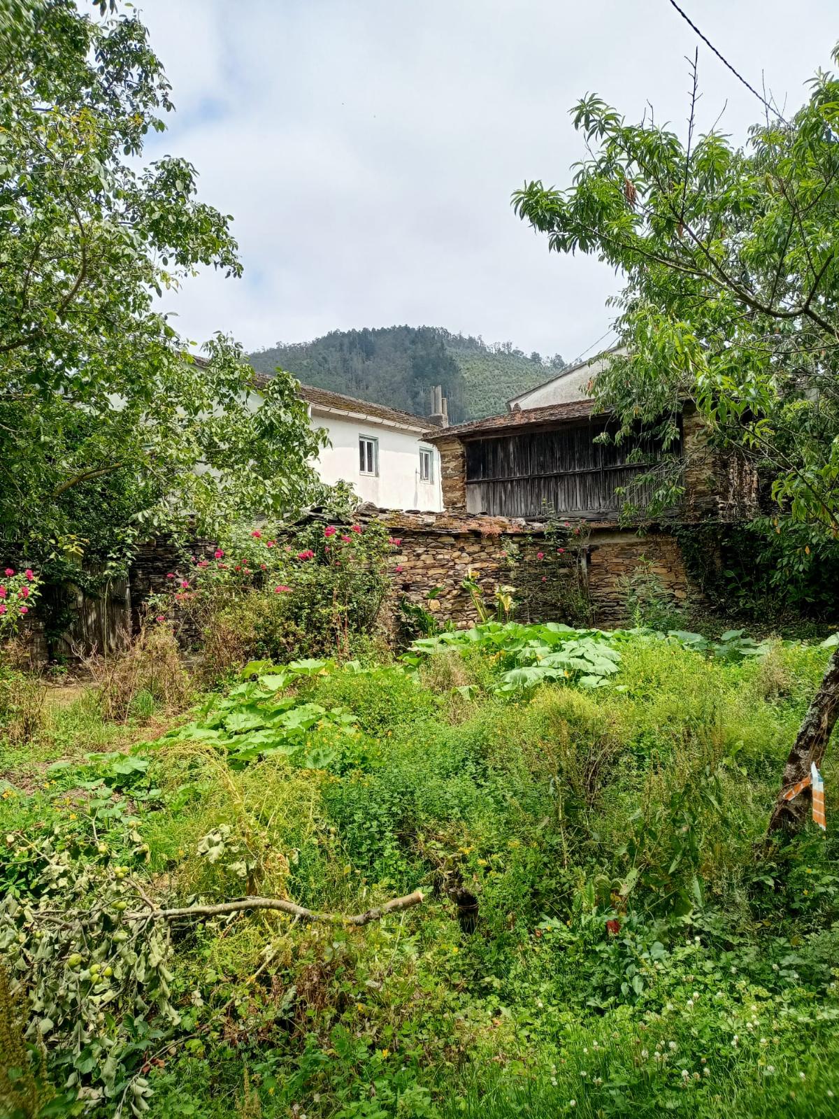 Jardín