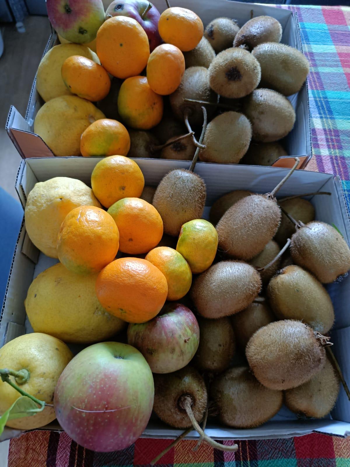 Venta de finca rústica en A Pontenova