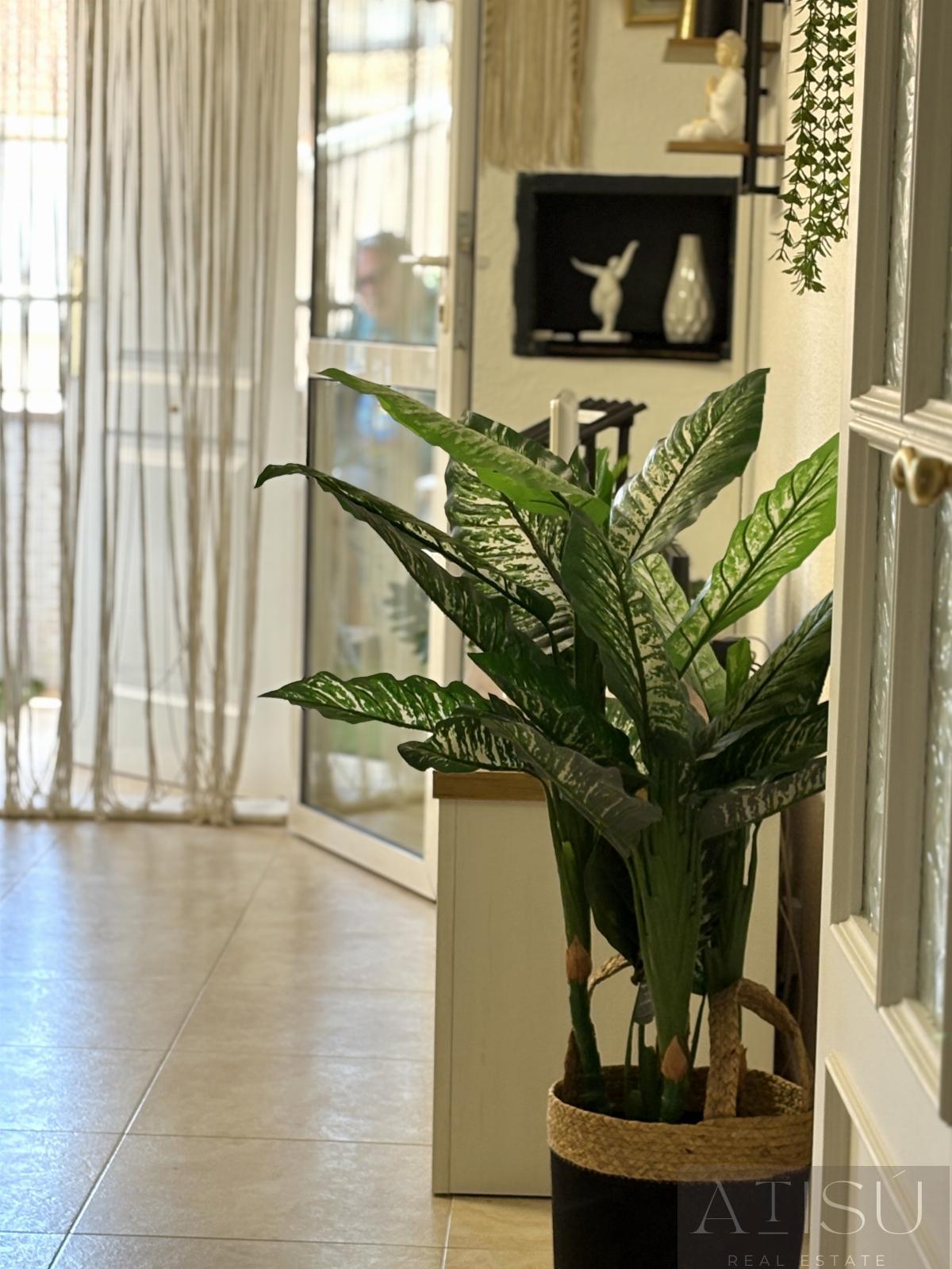 De location de appartement dans Torrevieja