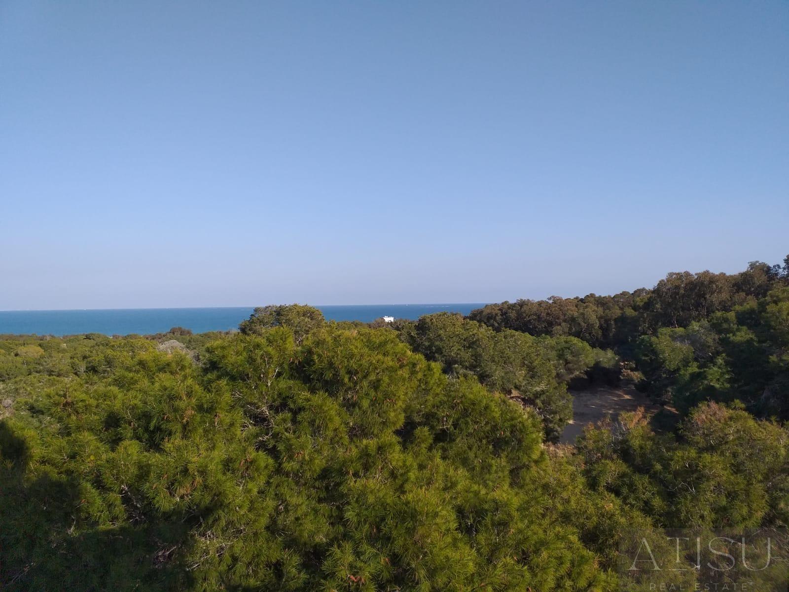 Venta de apartamento en Guardamar del segura