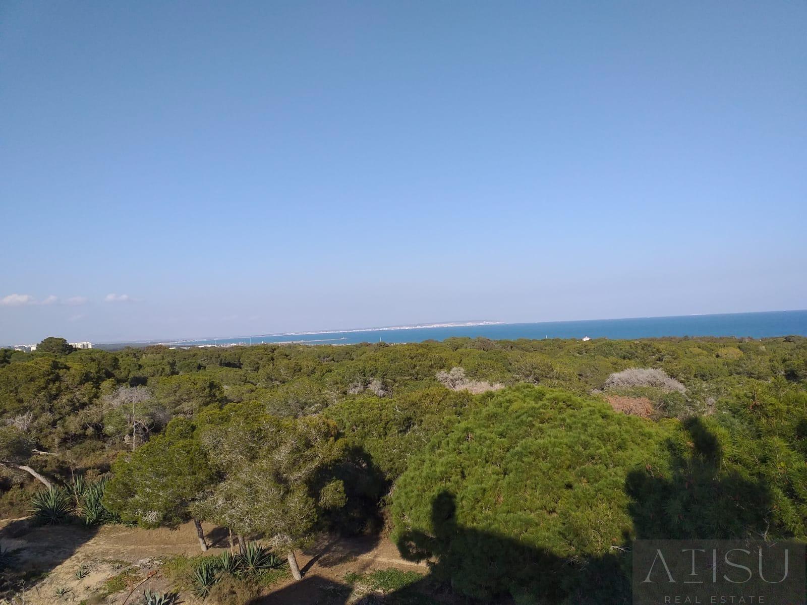 Venta de apartamento en Guardamar del segura