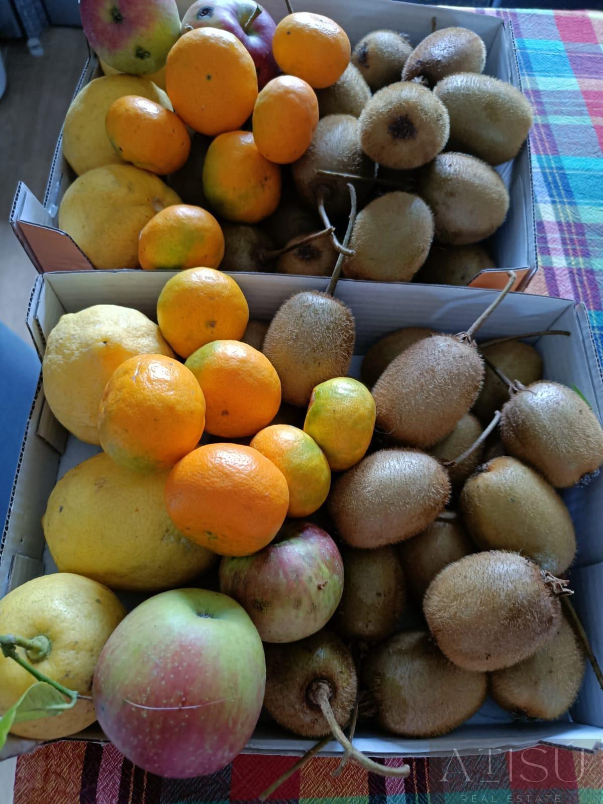 Venta de finca rústica en A Pontenova