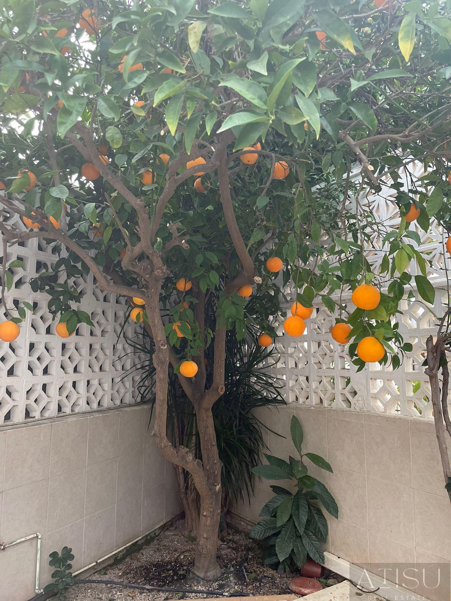 Venta de casa en Alfaz del Pi