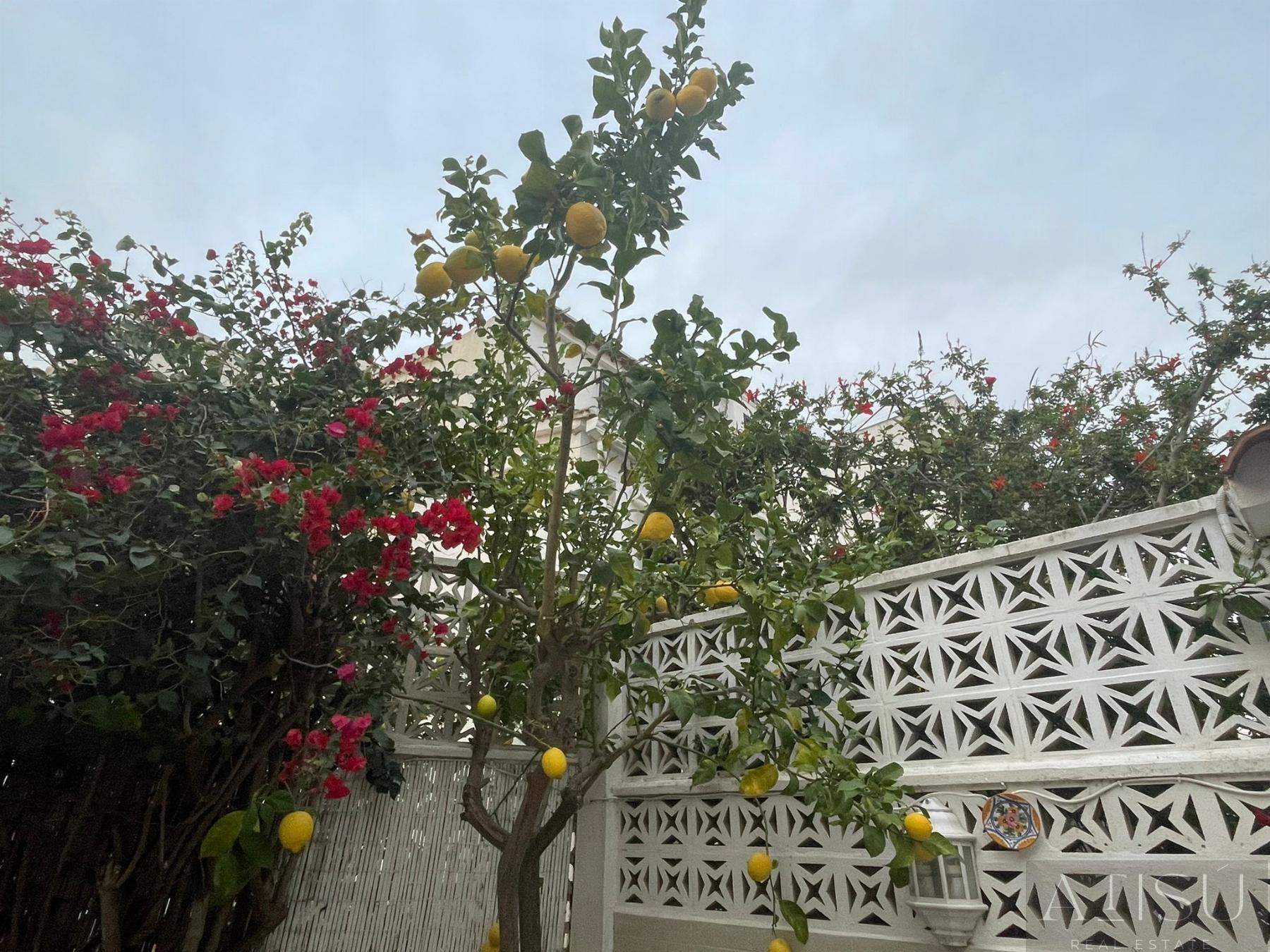 Venta de casa en Alfaz del Pi