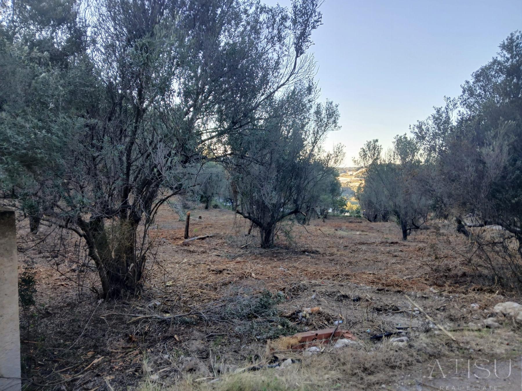 Venta de terreno en Bolulla