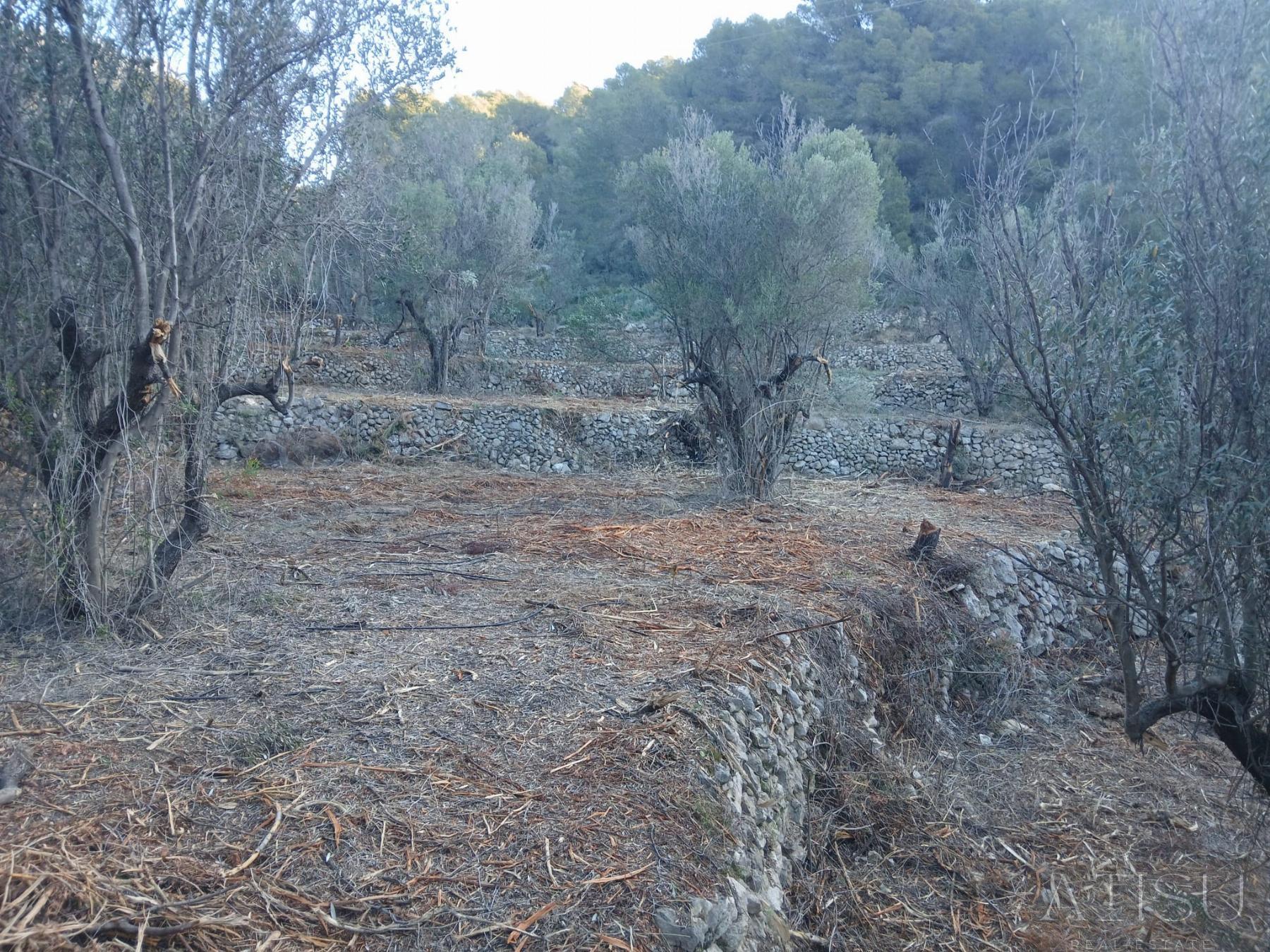Venta de terreno en Bolulla
