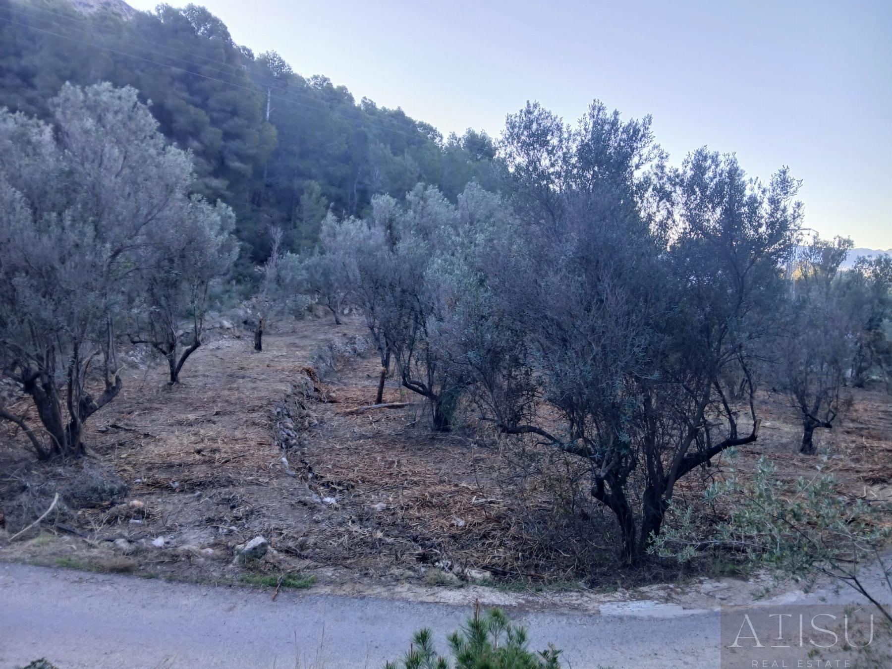 Venta de terreno en Bolulla