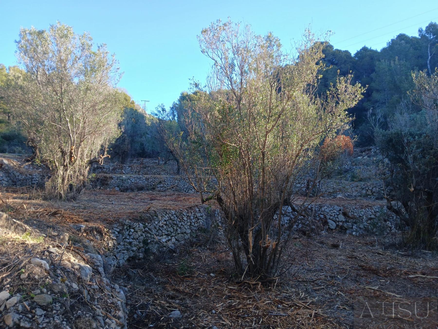 Venta de terreno en Bolulla