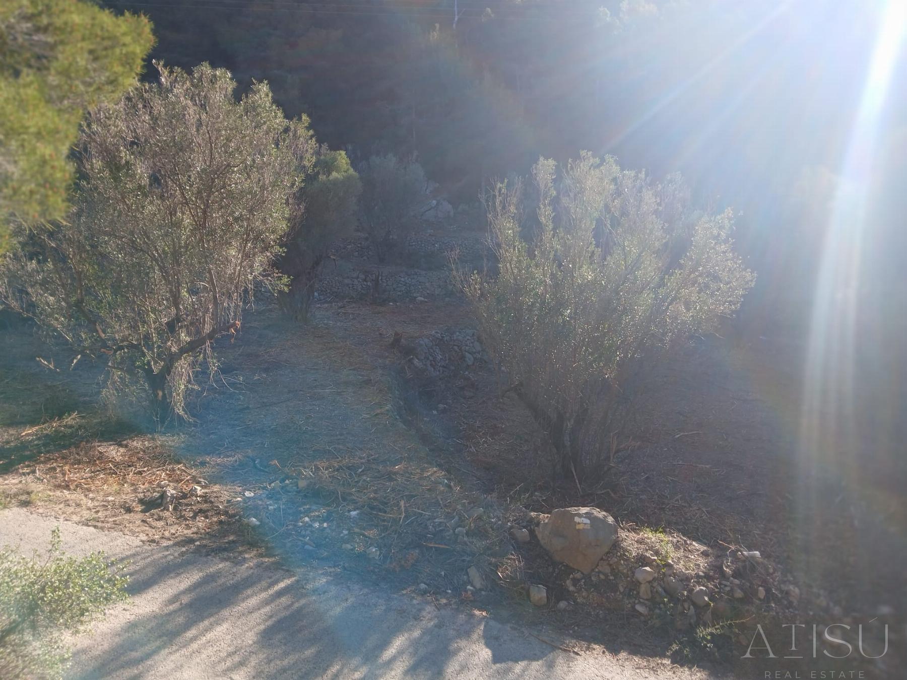 Venta de terreno en Bolulla