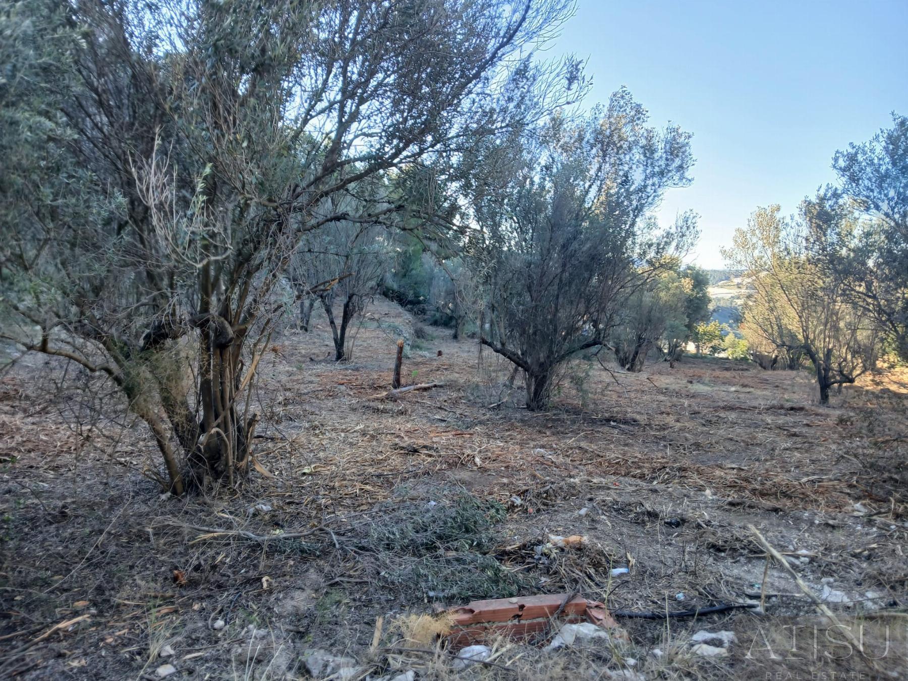 Venta de terreno en Bolulla