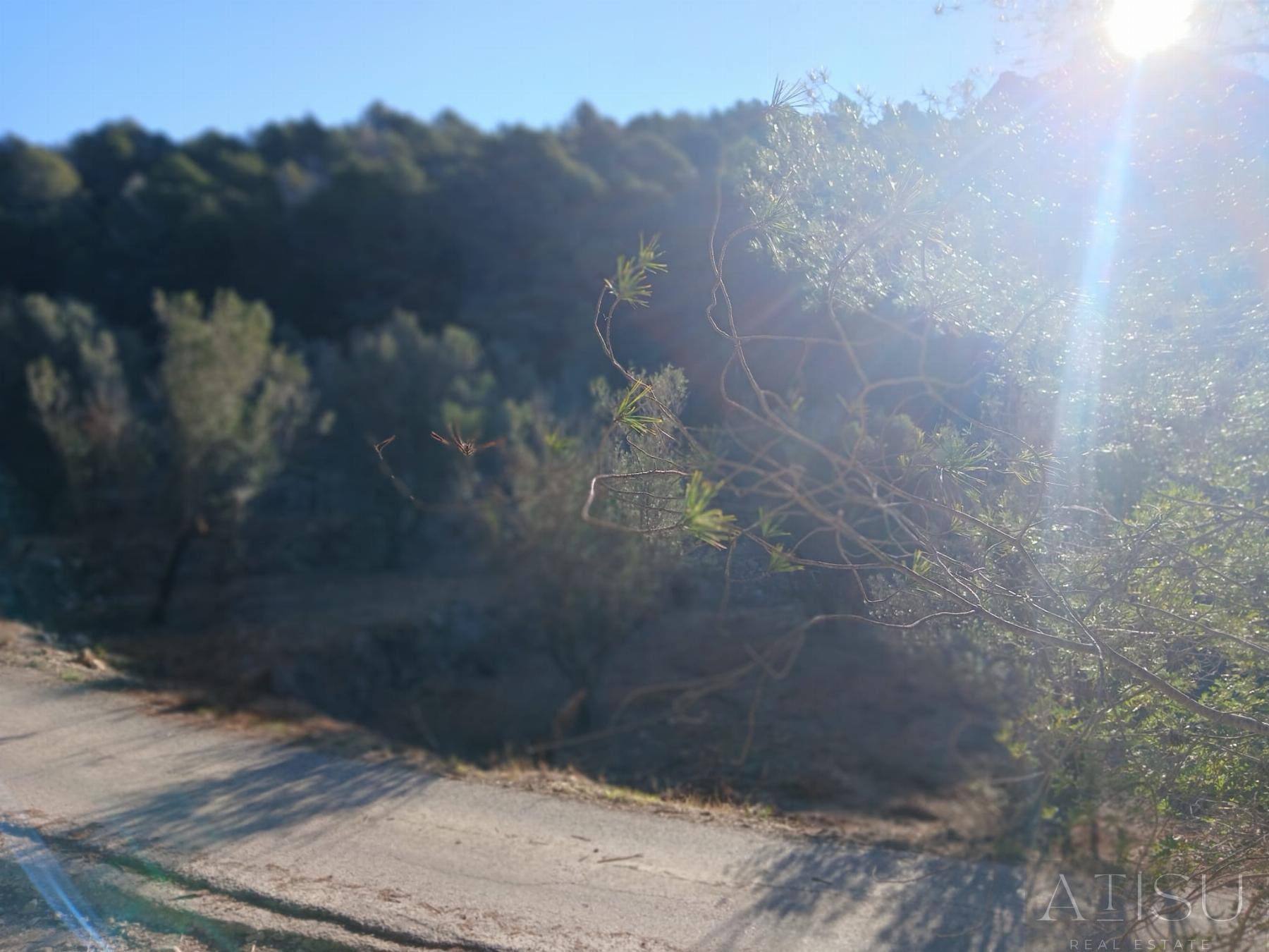Venta de terreno en Bolulla