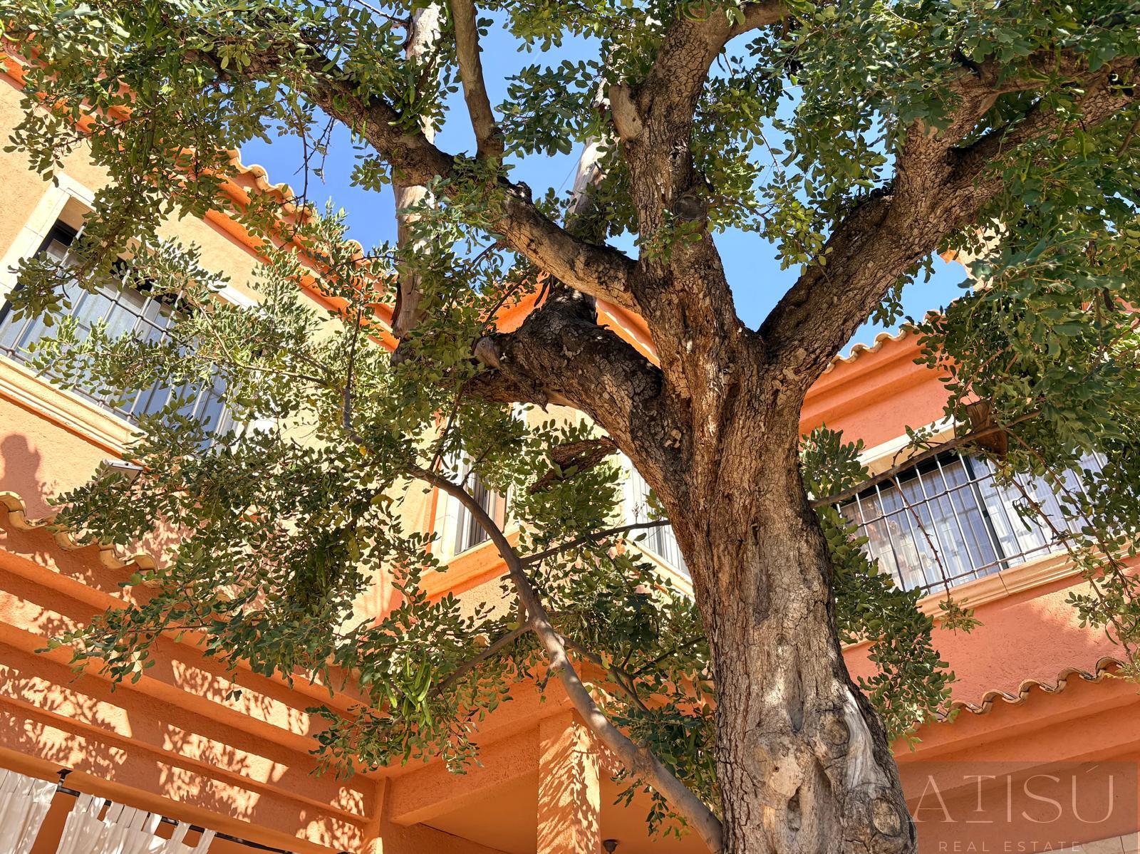 Alquiler de villa en Benidorm