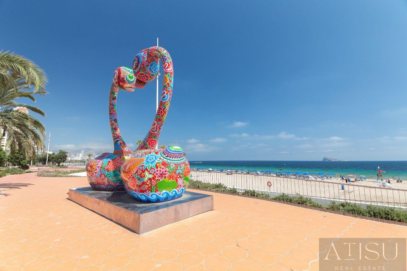 Alquiler de piso en Benidorm