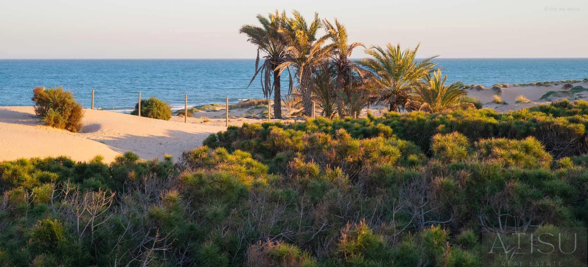 Venta de apartamento en Guardamar del segura