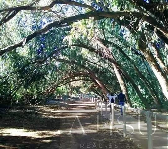 Venta de bungalow en Torrevieja