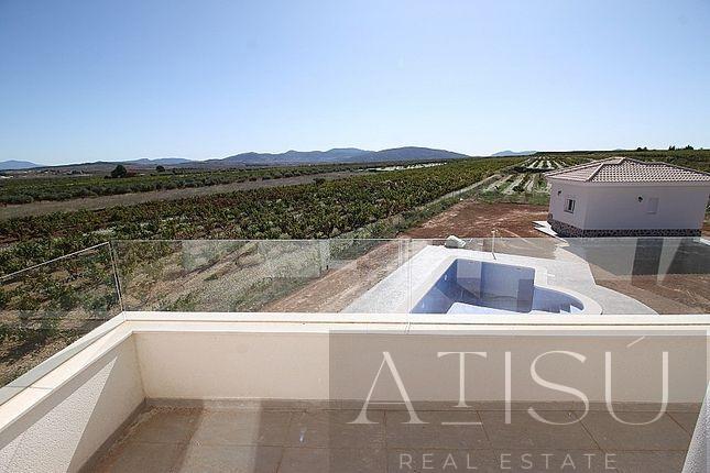 Venta de villa en Pinoso