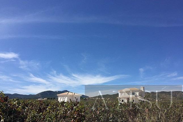 Venta de villa en Pinoso