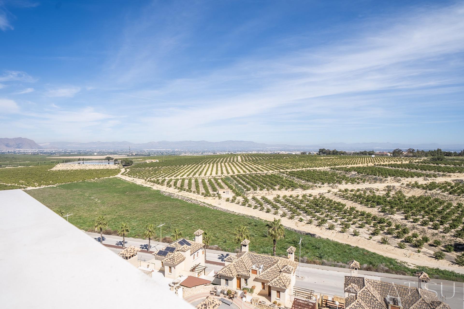 Venta de villa en Algorfa