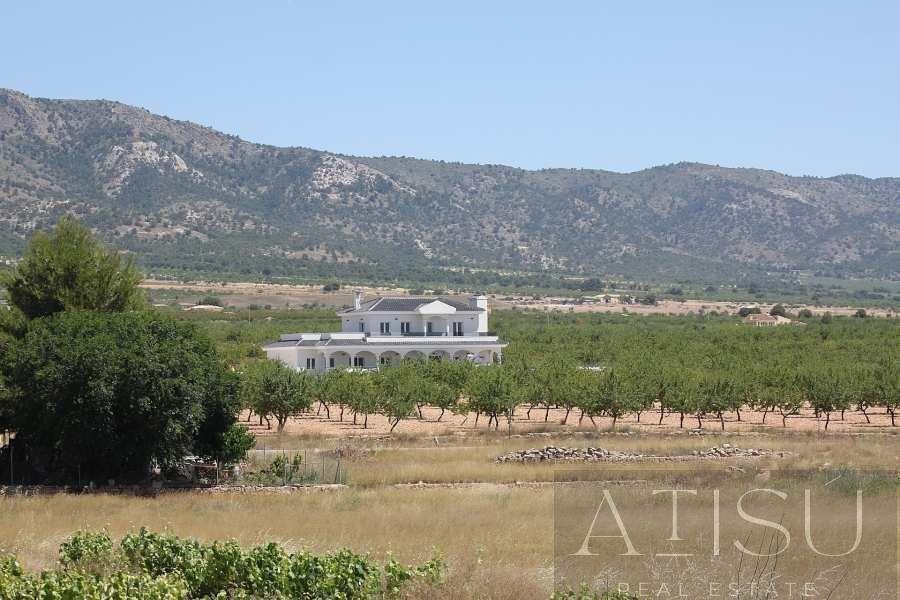 Venta de villa en Pinoso