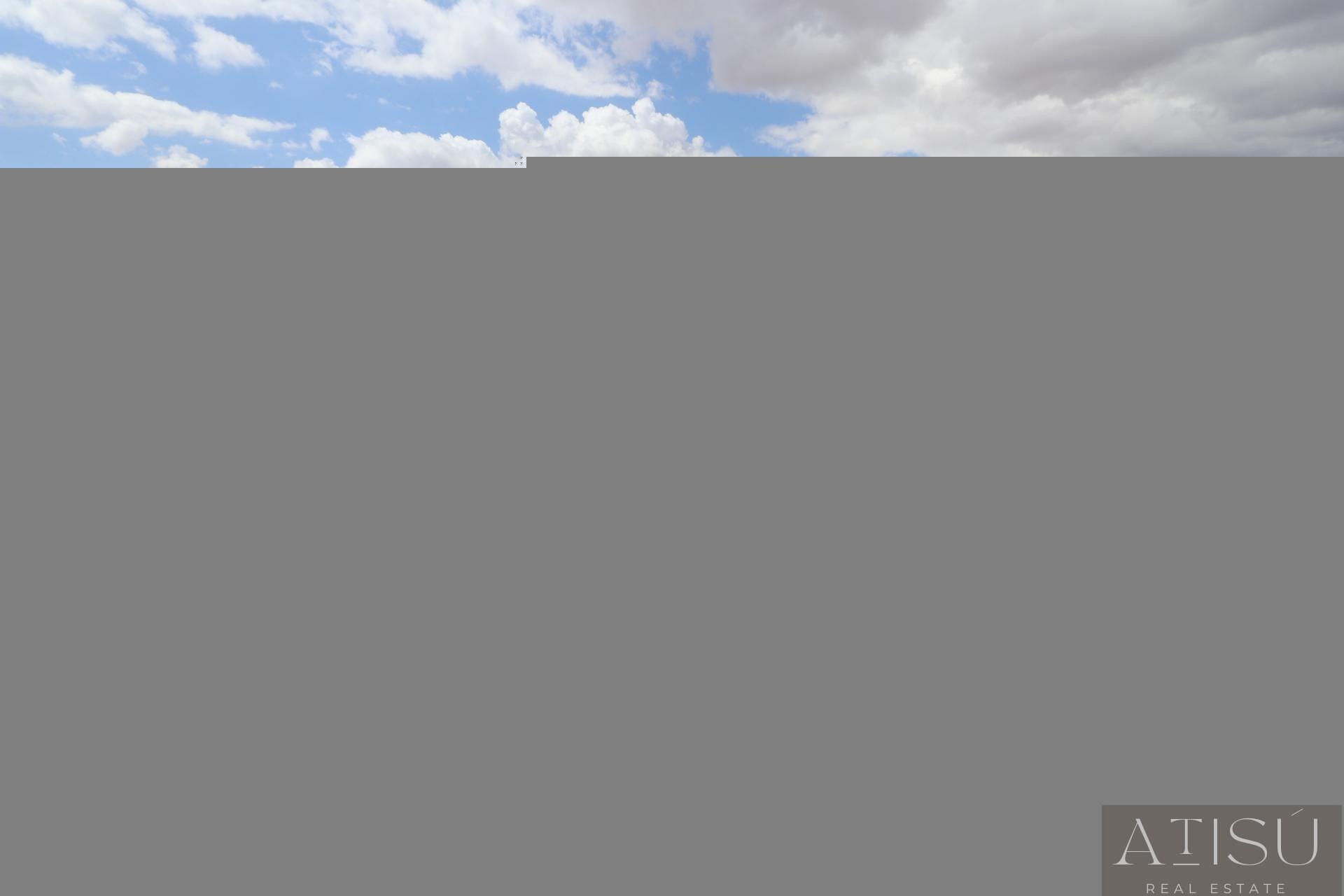 Venta de villa en Pinoso