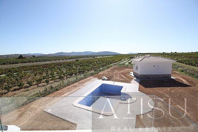 Venta de villa en Pinoso