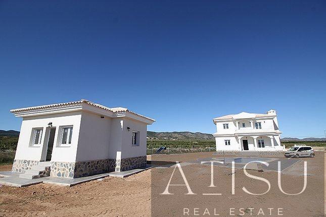 Venta de villa en Pinoso