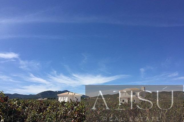 Venta de villa en Pinoso