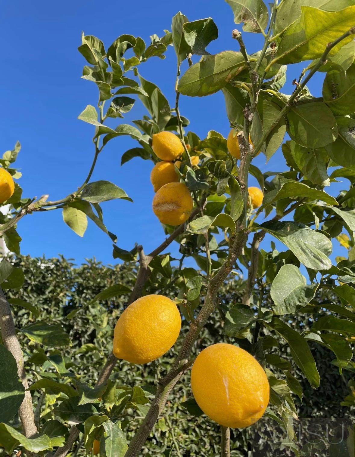 Alquiler de villa en Finestrat