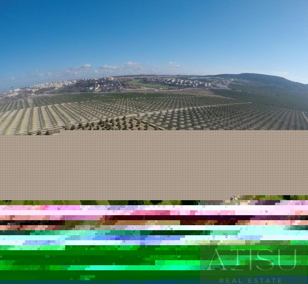 Venta de villa en Algorfa
