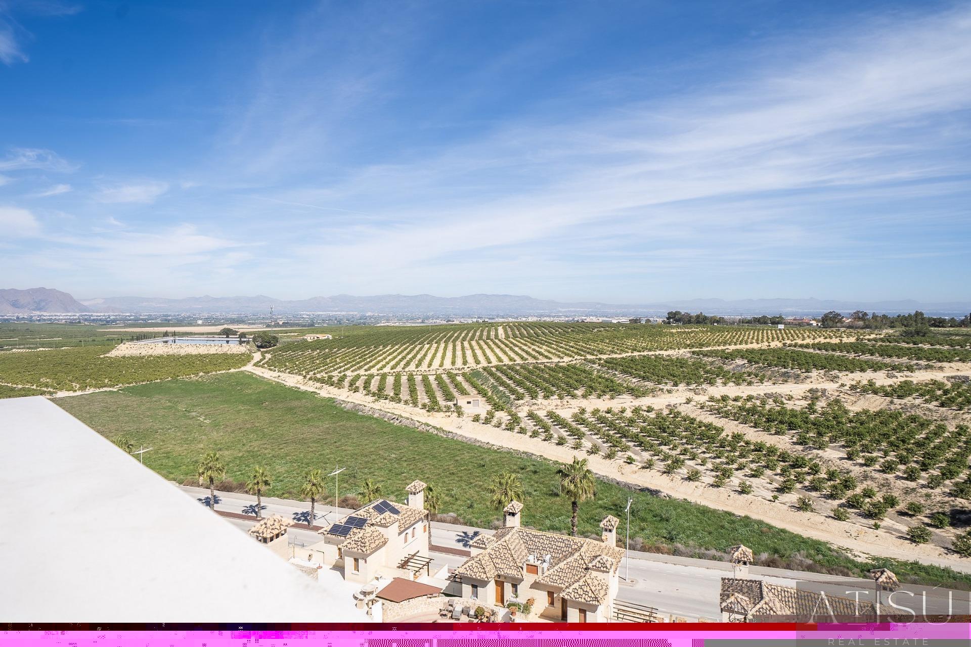 Venta de villa en Algorfa