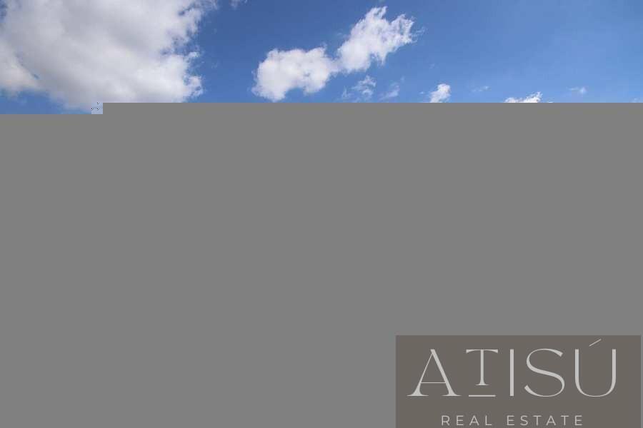Venta de villa en Pinoso