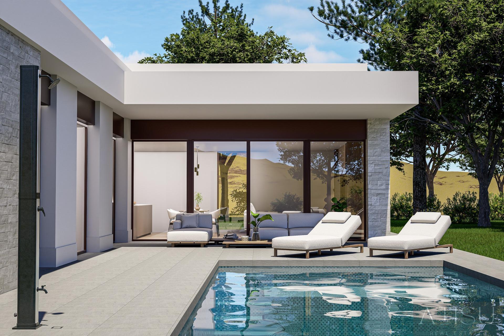 Venta de villa en Pinoso