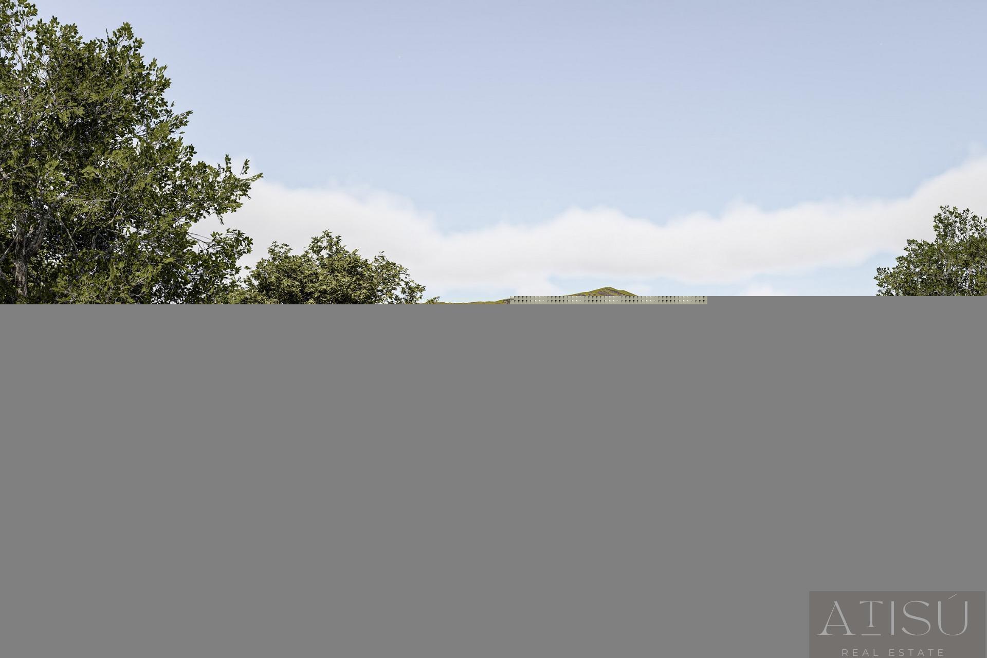 Venta de villa en Pinoso