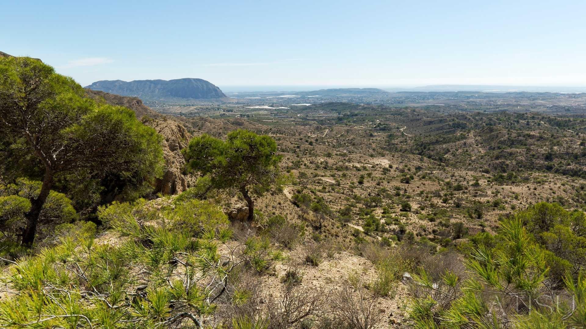 Venta de villa en Aspe